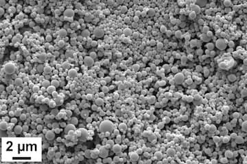 Proanthocyanidin encapsulation for sustained bioactivity in dentin bioadhesion: A two-year study