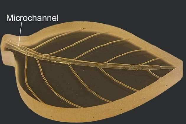 Rapid synchronized fabrication of vascularized thermosets and composites
