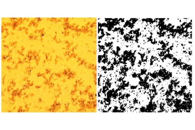Dispersion stability in carbon nanotube modified polymers and its effect on the fracture toughness