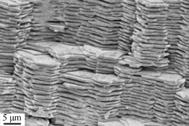 Multiscale mechanics and optimization of gastropod shells