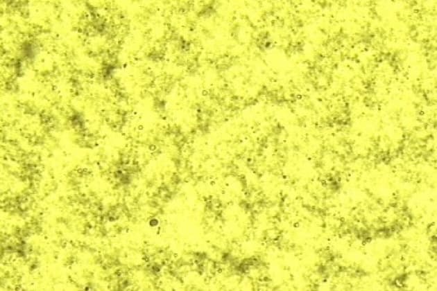 A systematic study on dispersion stability of carbon nanotube-modified epoxy resins