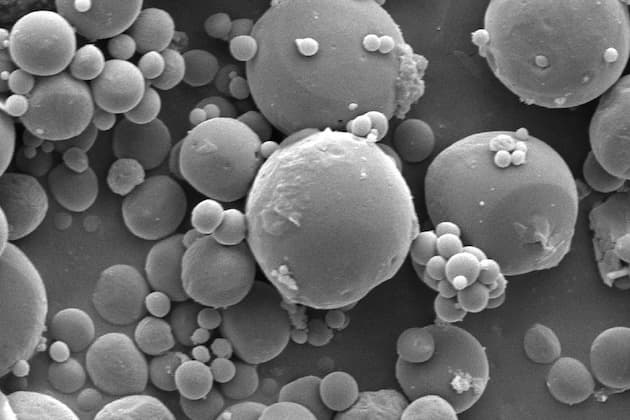 Encapsulation of grape seed extract in polylactide microcapsules for sustained bioactivity and time-dependent release in dental material applications