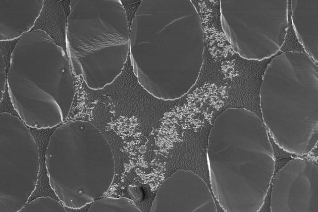 Carbon nanotube-reinforced carbon fibre-epoxy composites manufactured by resin film infusion